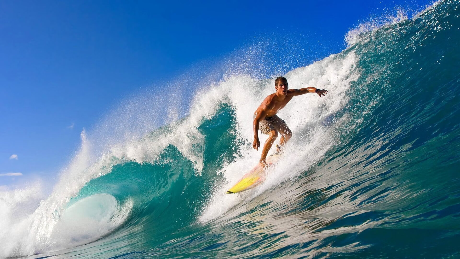 _多彩彩跑盛典：运动与艺术的视觉盛宴_，多彩体育